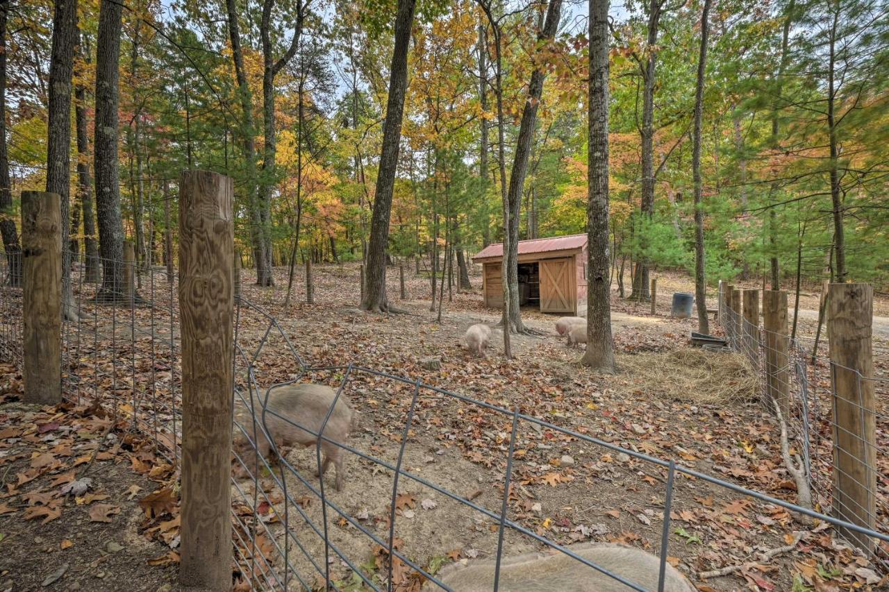 Cheyenne Ranch Apt With 50 Acres By Raystown Lake Huntingdon Extérieur photo